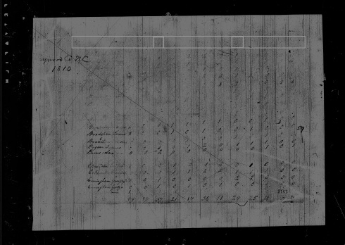 1810 Burrell Baggett Census Mod