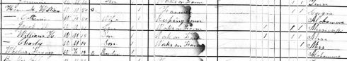 1880 US Federal Census - Lauderdale County, TN, William Hammock, Head of House